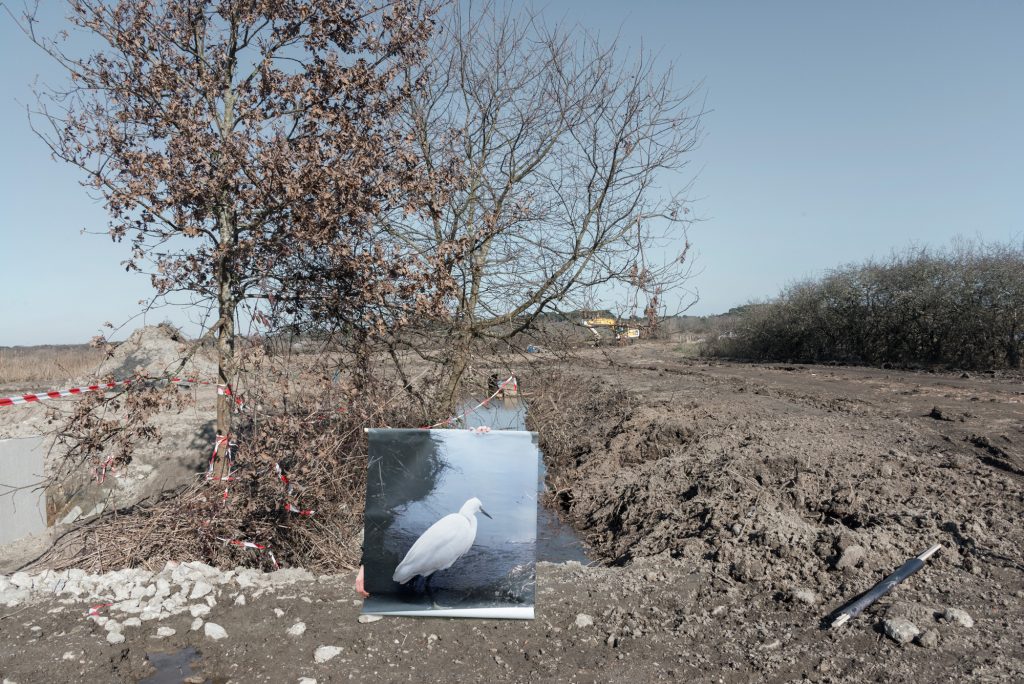 Aurore Valade · L'envol en chantier aigrette_canal