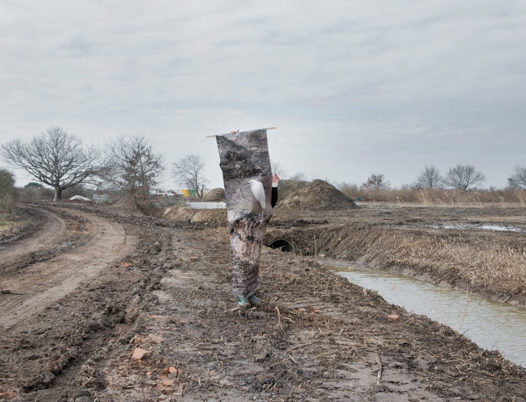 Aurore Valade · L'envol en chantier aigrette_terre