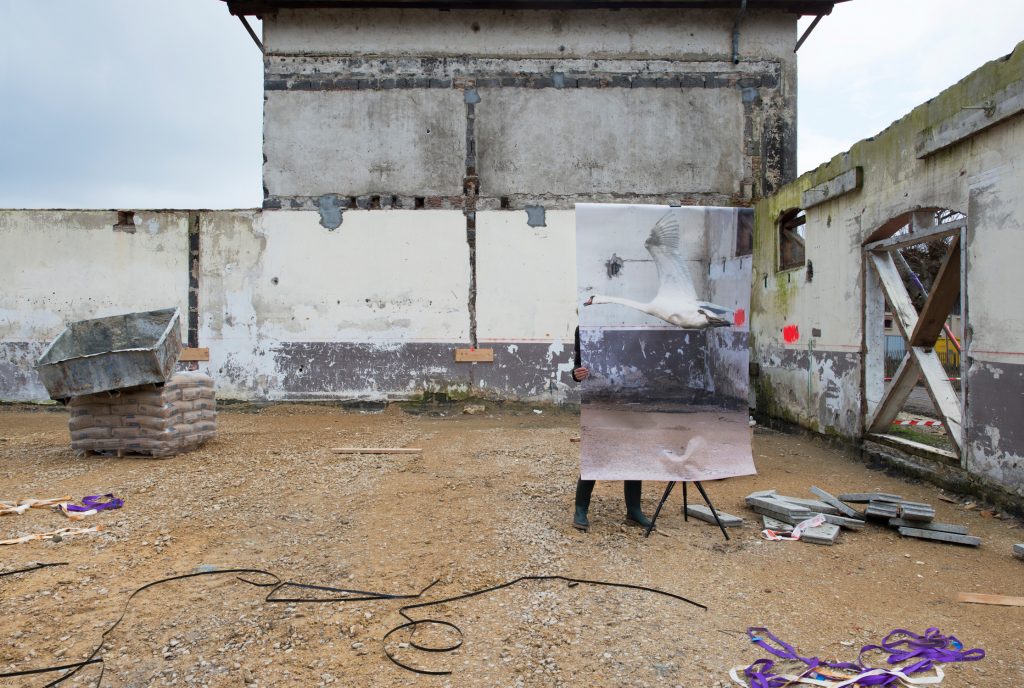 Aurore Valade · L'envol en chantier cygnes