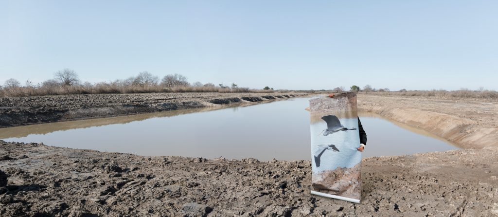 Aurore Valade · L'envol en chantier herons